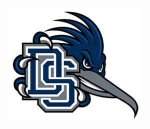 Team Logo